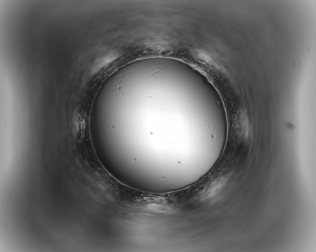 X0000087041302200704181207