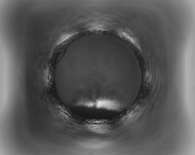 X0000087041303200704181207