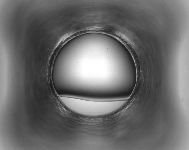 X0000087041308200704181207