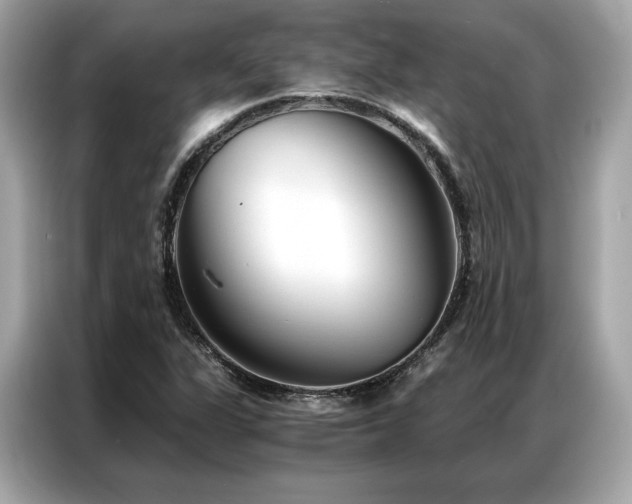 X0000087041311200704181207