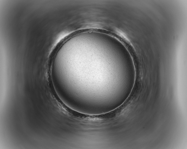 X0000087041312200704181207