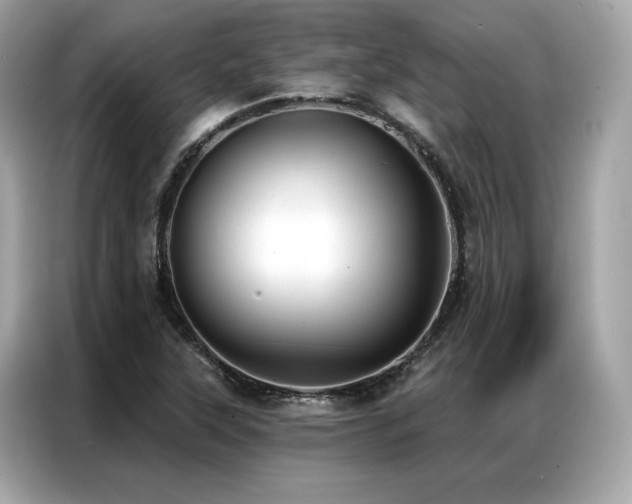 X0000087041315200704181207