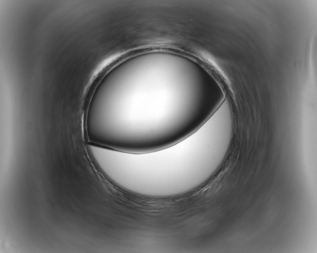 X0000087041320200704181207