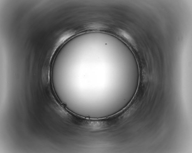 X0000087041322200704181207