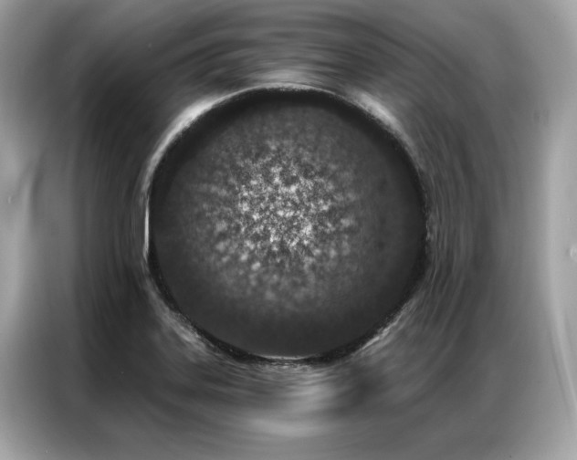 X0000087041323200704181207