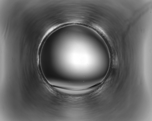 X0000087041324200704181207