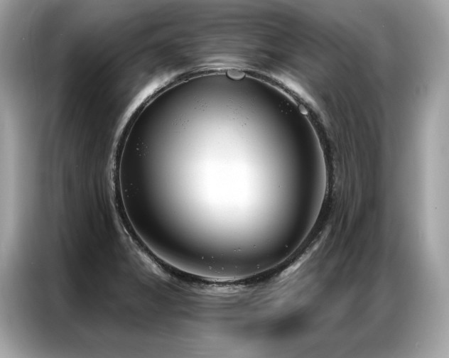 X0000087041325200704181207