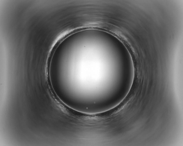 X0000087041328200704181207