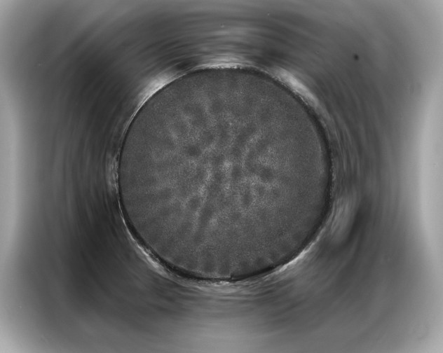 X0000087041329200704181207