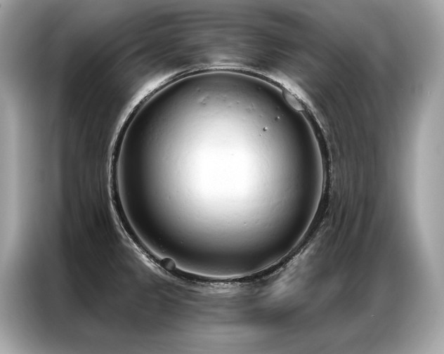 X0000087041333200704181207