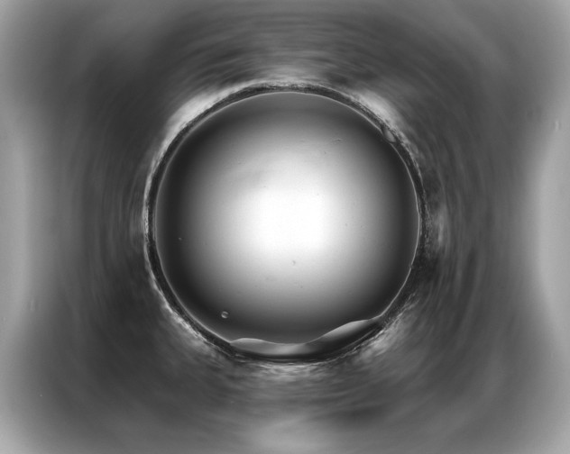 X0000087041335200704181207