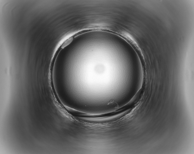 X0000087041336200704181207