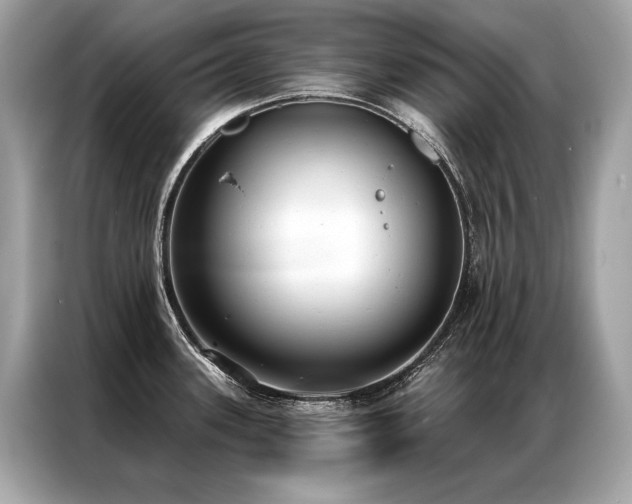 X0000087041339200704181207
