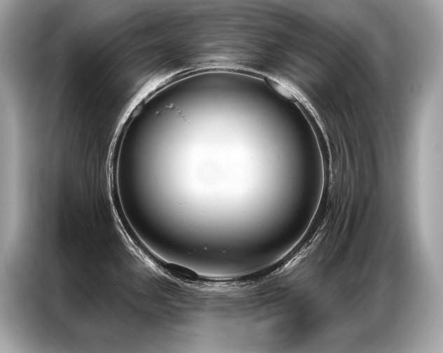 X0000087041341200704181207