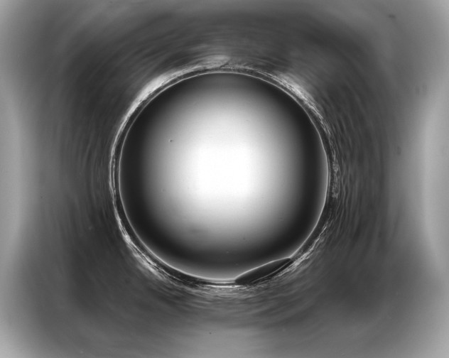 X0000087041342200704181207