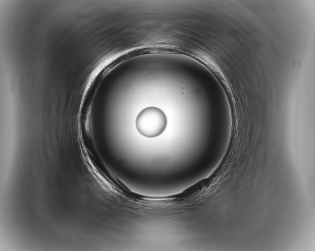 X0000087041344200704181207