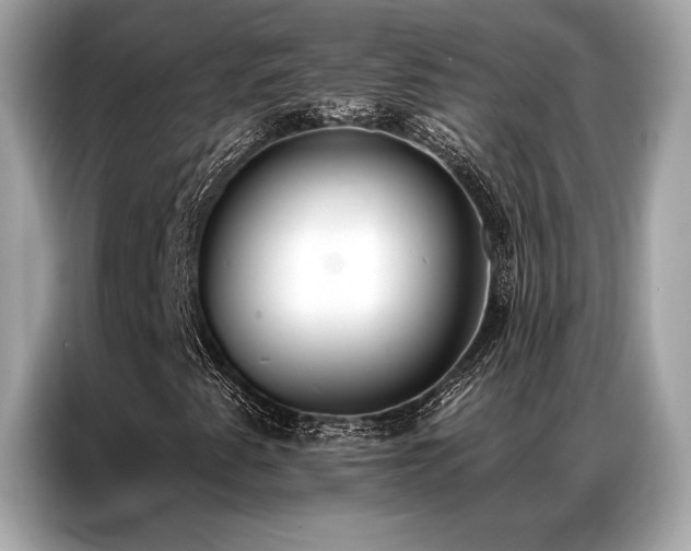 X0000087041345200704181207