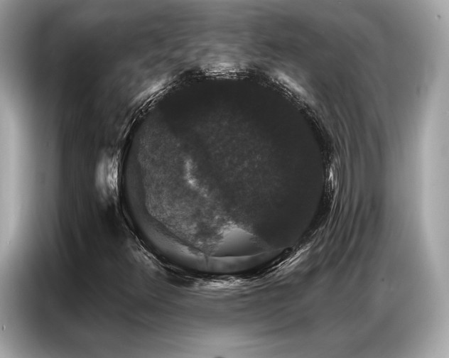 X0000087041348200704181207