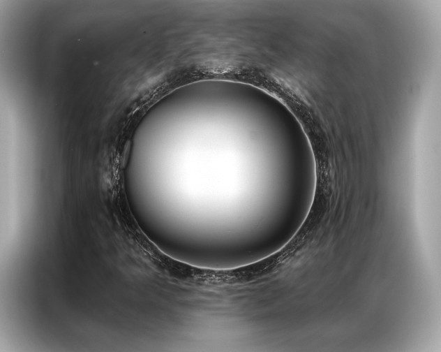 X0000087041349200704181207