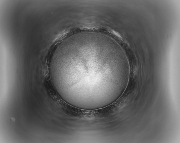 X0000087041350200704181207