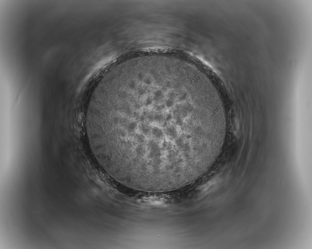 X0000087041351200704181207