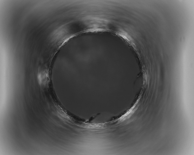 X0000087041353200704181207