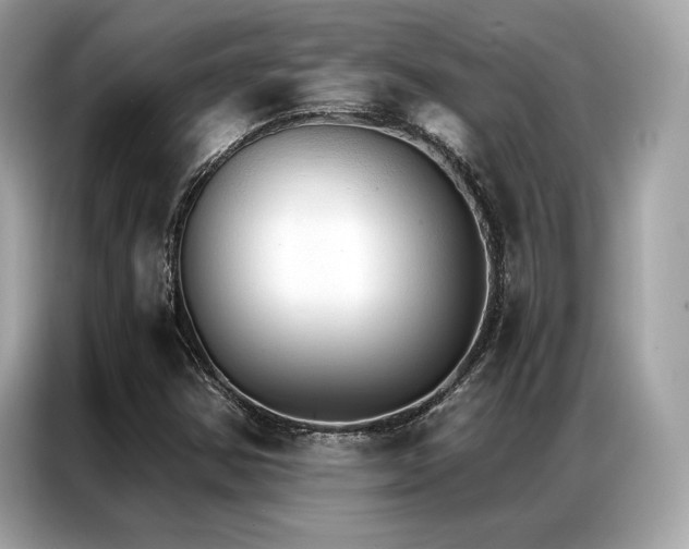 X0000087041354200704181207