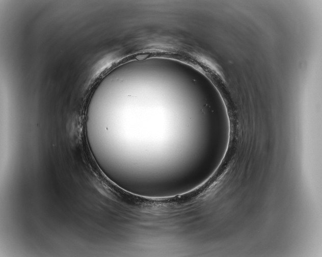 X0000087041355200704181207