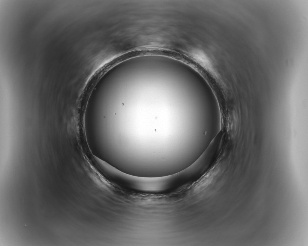 X0000087041356200704181207