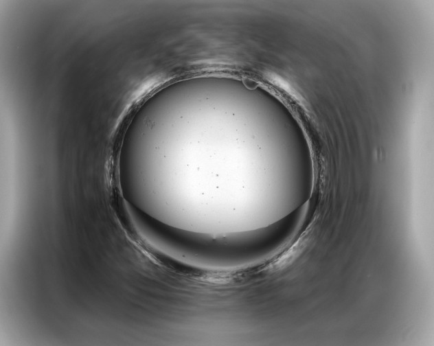 X0000087041357200704181206