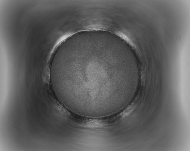 X0000087041358200704181206