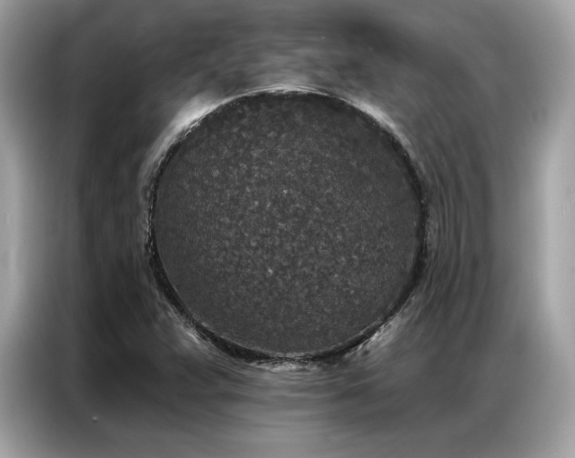 X0000087041359200704181206