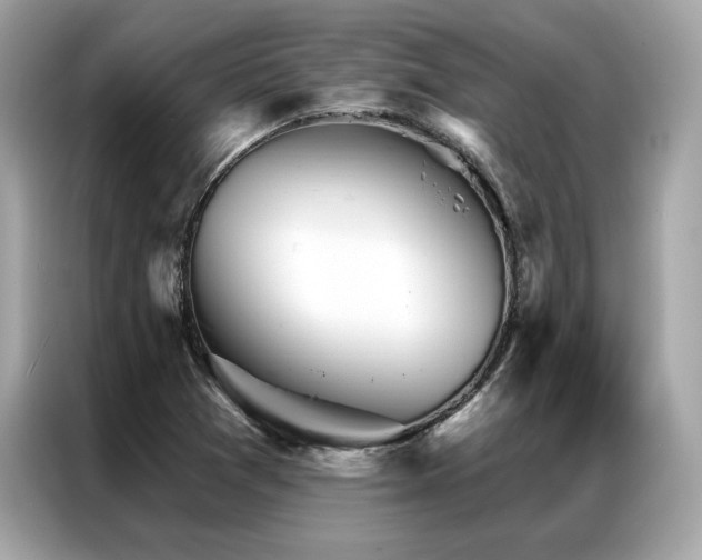 X0000087041361200704181206