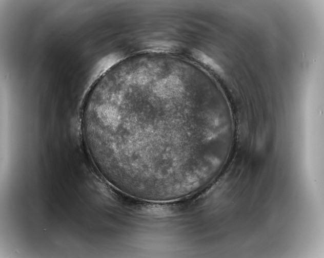 X0000087041362200704181206