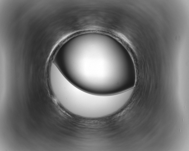 X0000087041364200704181206