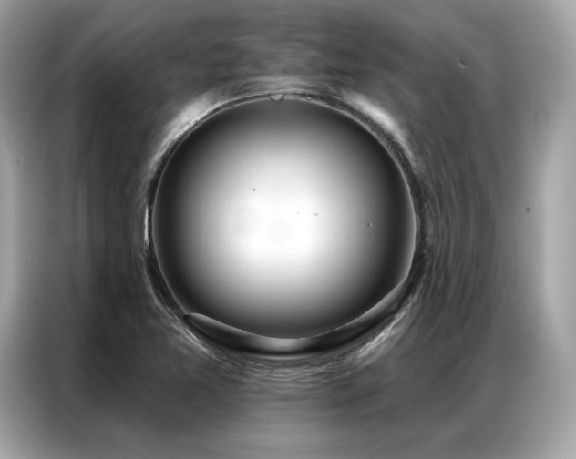 X0000087041365200704181206