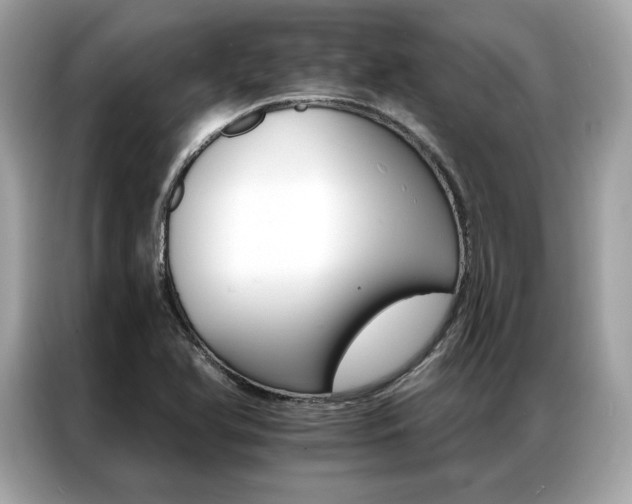 X0000087041366200704181206