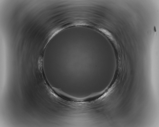 X0000087041369200704181206