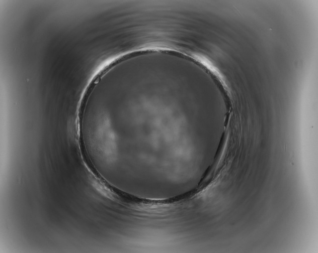 X0000087041372200704181206