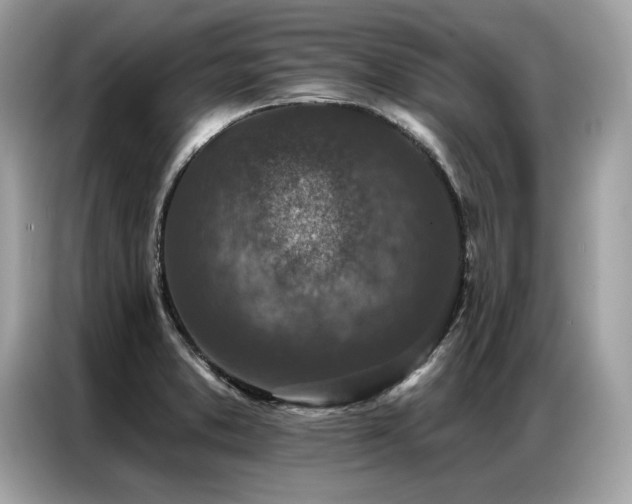 X0000087041373200704181206