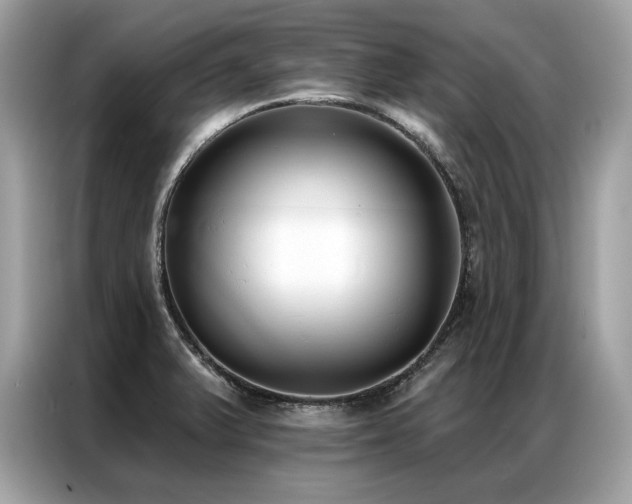 X0000087041375200704181206
