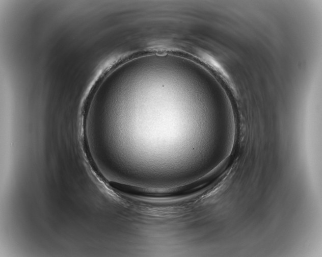 X0000087041376200704181206