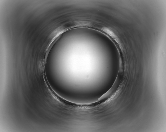 X0000087041377200704181206