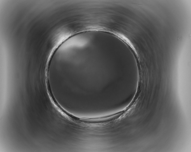 X0000087041381200704181206