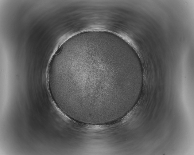 X0000087041382200704181206