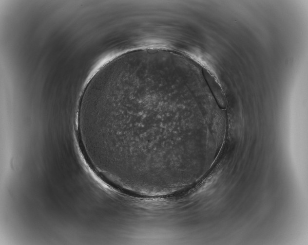 X0000087041383200704181206