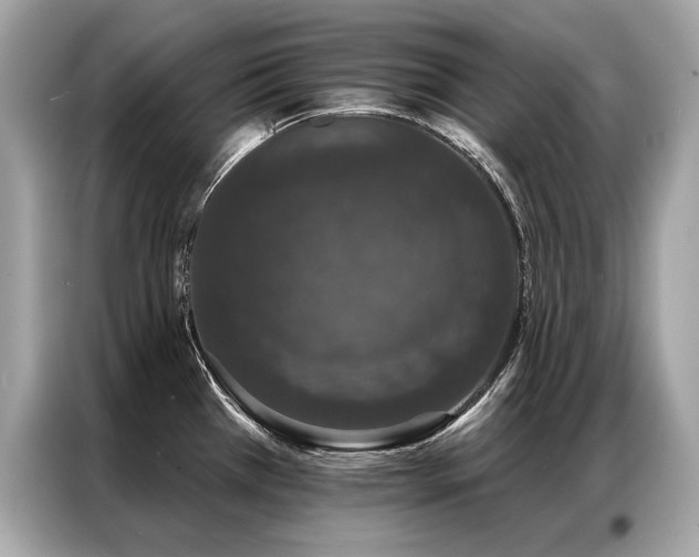 X0000087041385200704181206
