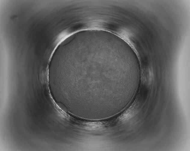 X0000087041388200704181206