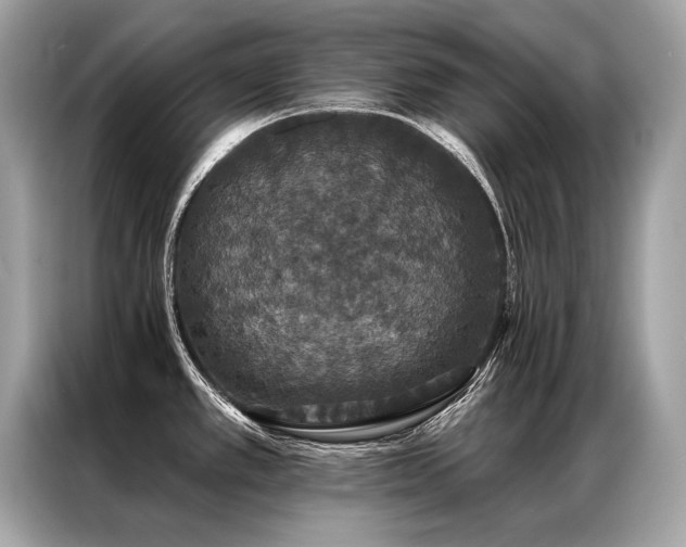X0000087041389200704181206