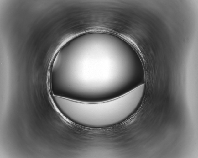 X0000087041391200704181206